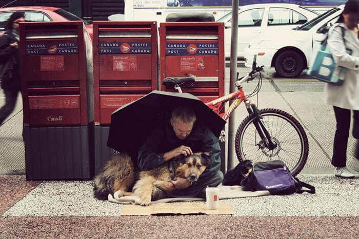 Homeless People And Their Dogs Unconditional Love 9