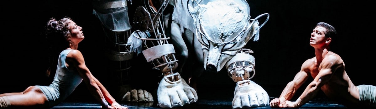 recirquel solus amor festspielhaus st pölten