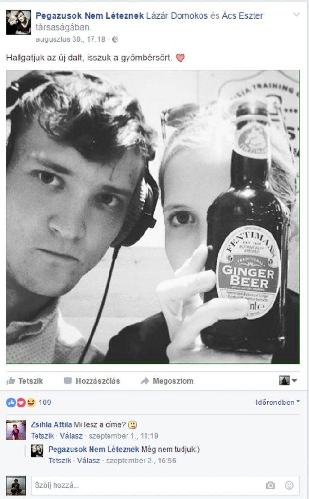 Pegazusok Nem Léteznek_Menekülés