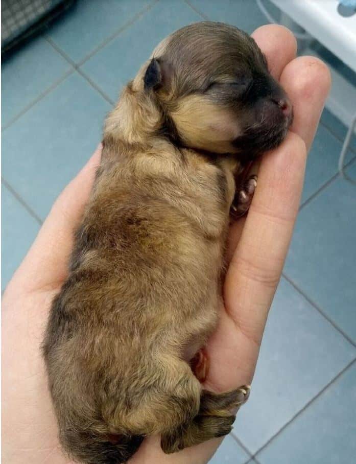 jo emberek, jo cselekedetek, hetkoznapihosok, jo emberek a vilagban15