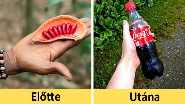 tomegtermekek mielott a polcokra kerulnek, mibol keszulnek a tomegtermekek, hetkoznapban hasznalt targyak mibol van a coca cola