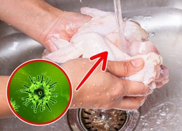 elelmiszerek amiket moss meg, elelmiszerek amiket ne moss meg10