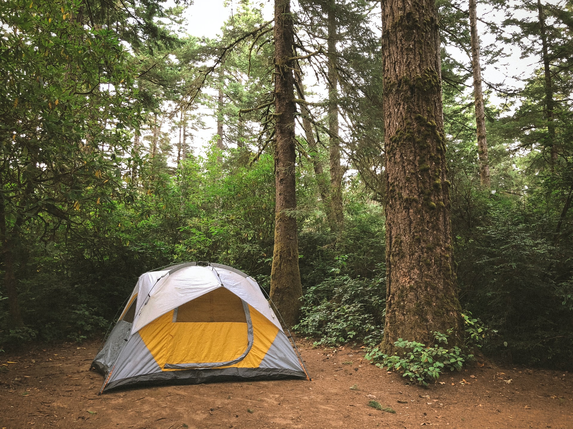 airbnb hirdetes sator szoba szallas