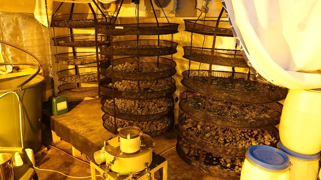 egyetemista-dilert-fogtak-rendorok-ujbuda-150-millio-2