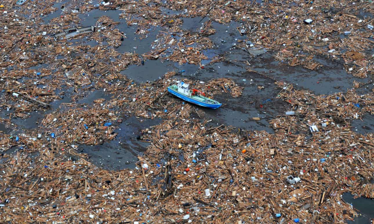 cunami szemet invaziv fajok ocean
