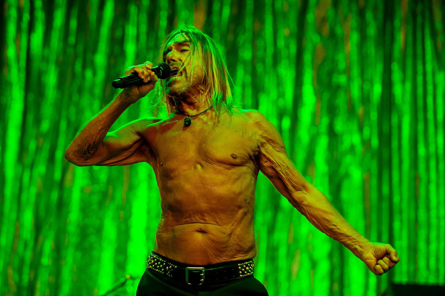 Iggy Pop, Budapest Park, Punk