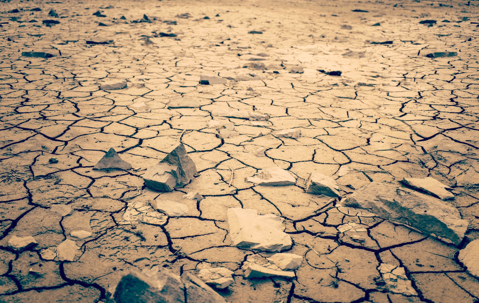 elsivatagosodas eghajlatvaltozas klimavaltozas szte