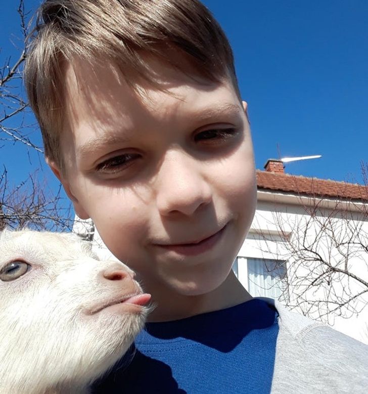 emberek haziallatok kapcsolatai 9