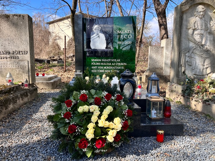 balazs feco sirja