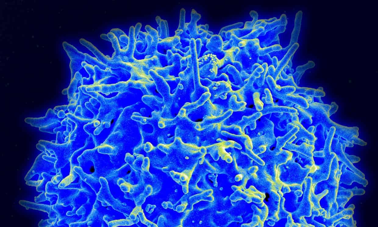 koronavirus negativ teszt oka t-sejtek