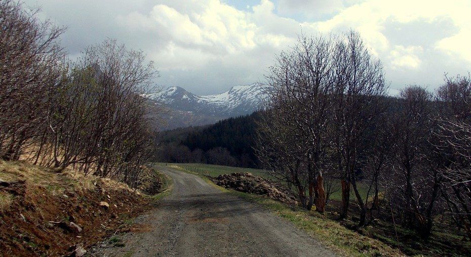 Viking Múzeum 