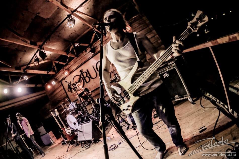 Kistehén / Kobuci