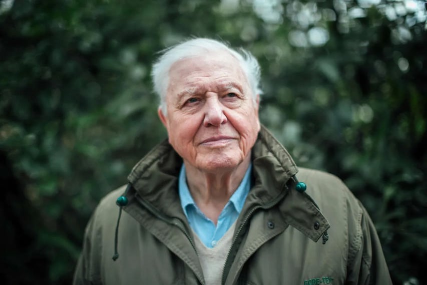 david-attenborough-95-eves-portre