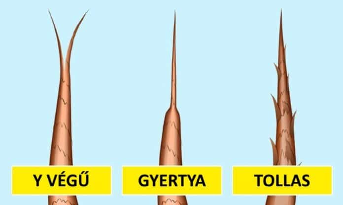 haj egeszseg, haj apolasi tanacsok, haj apolasi tippek, egeszsegtelen haj