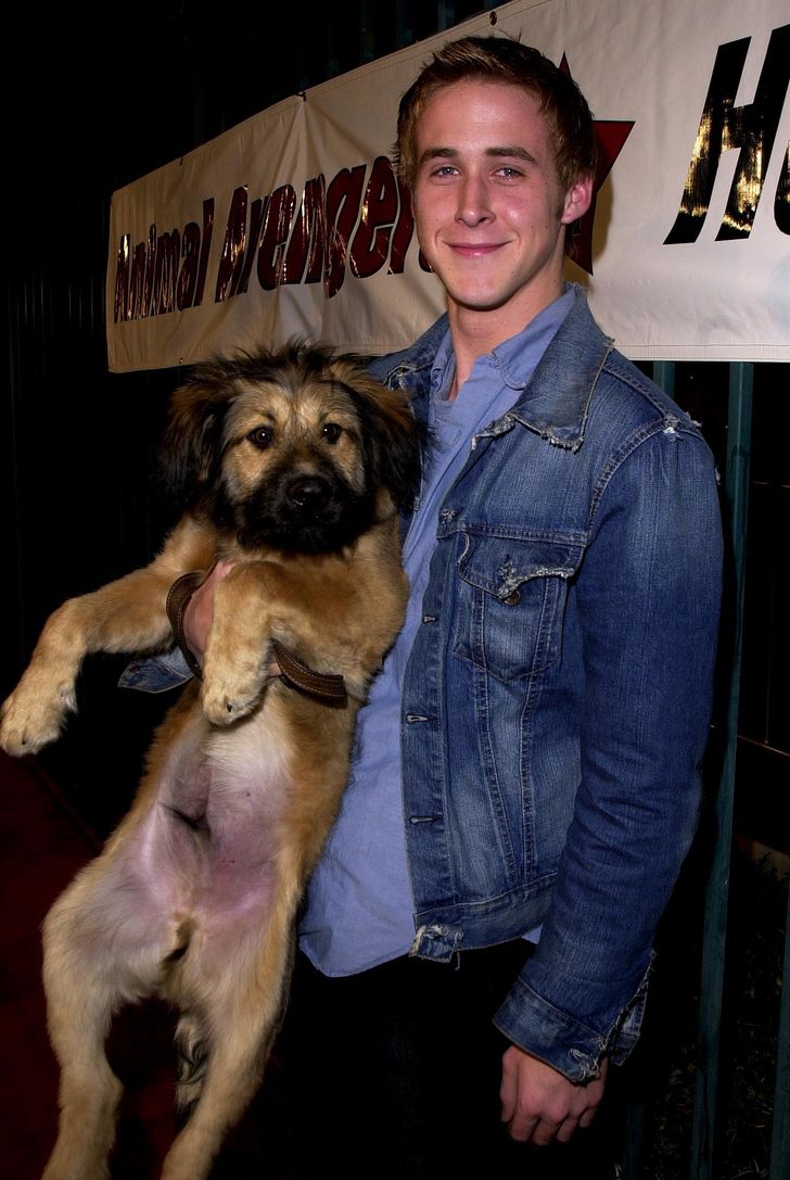 hiressegek regen ryan gosling