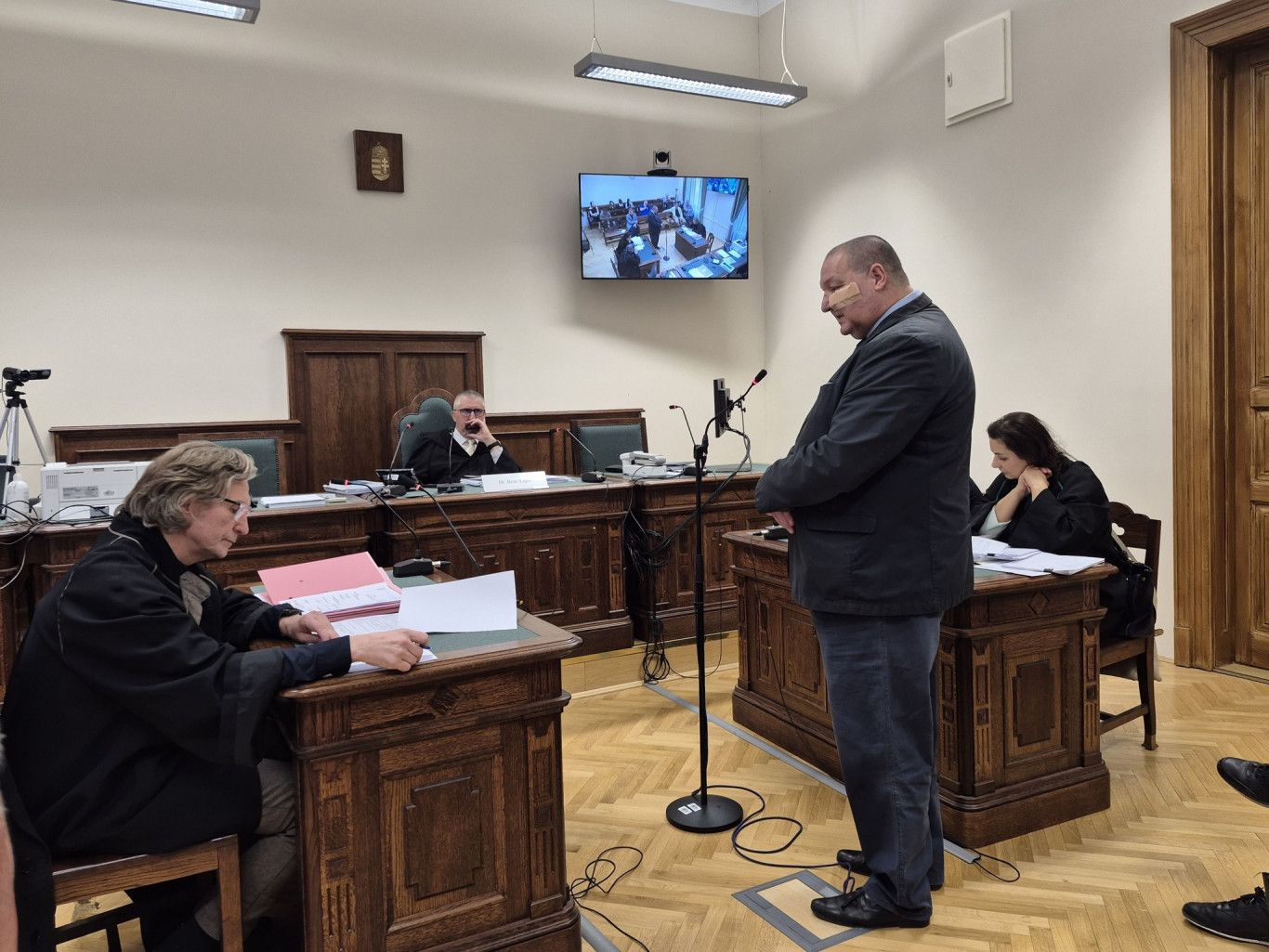 nemeth szilard vallomas birosag sebtapasz
