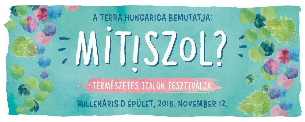 Hock Attila / Vad Fruttik / Interjú