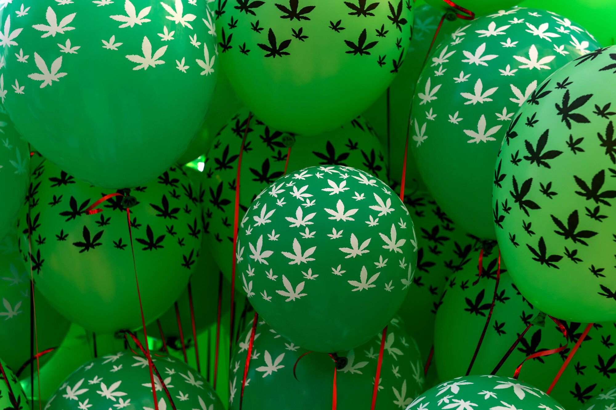 drogpolitika magyarorszagon fu legalizalasa marihuana