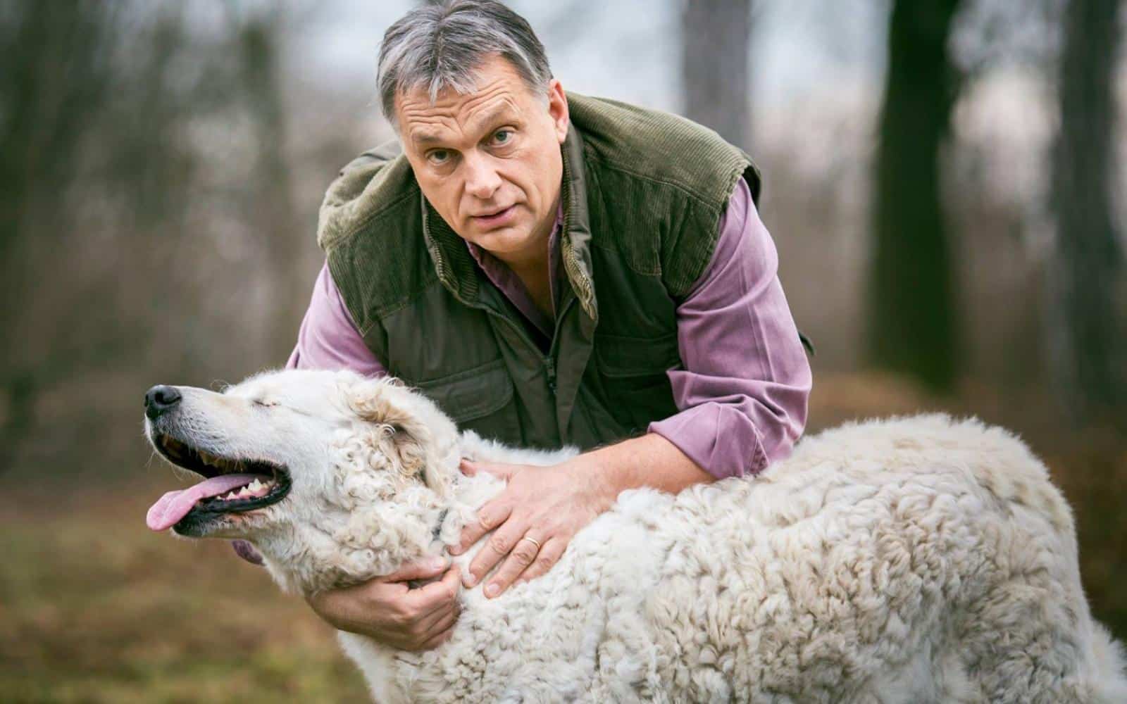 orban viktor kutyaja allatvedelem allatok vilagnapja
