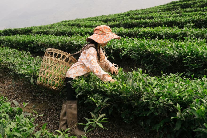 vietnam fotok 3