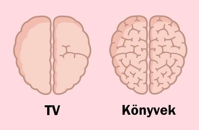 agy agyműködés befolyásolása egészség egészséges életmód tippek