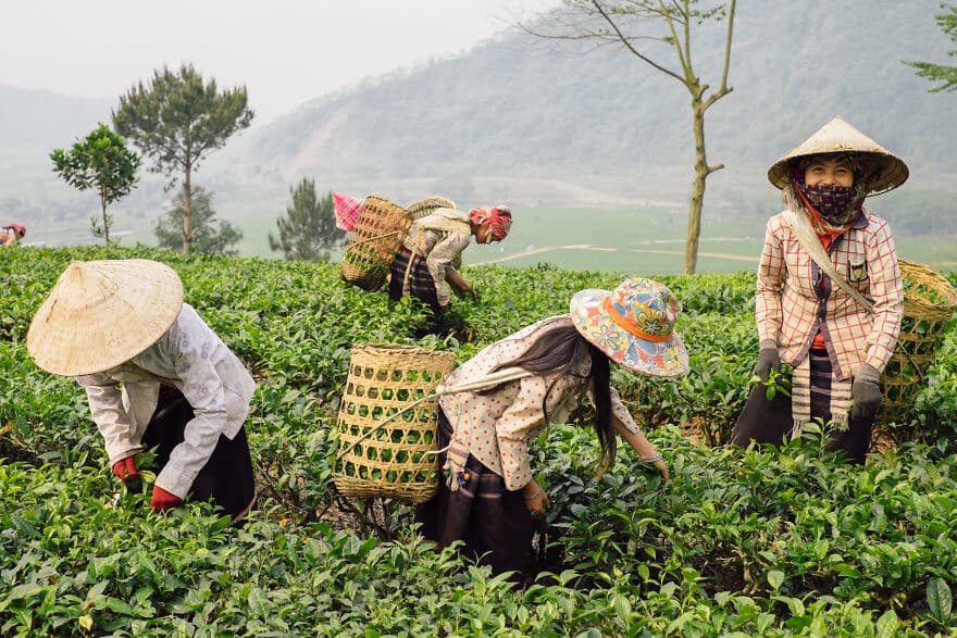 vietnam fotok 8
