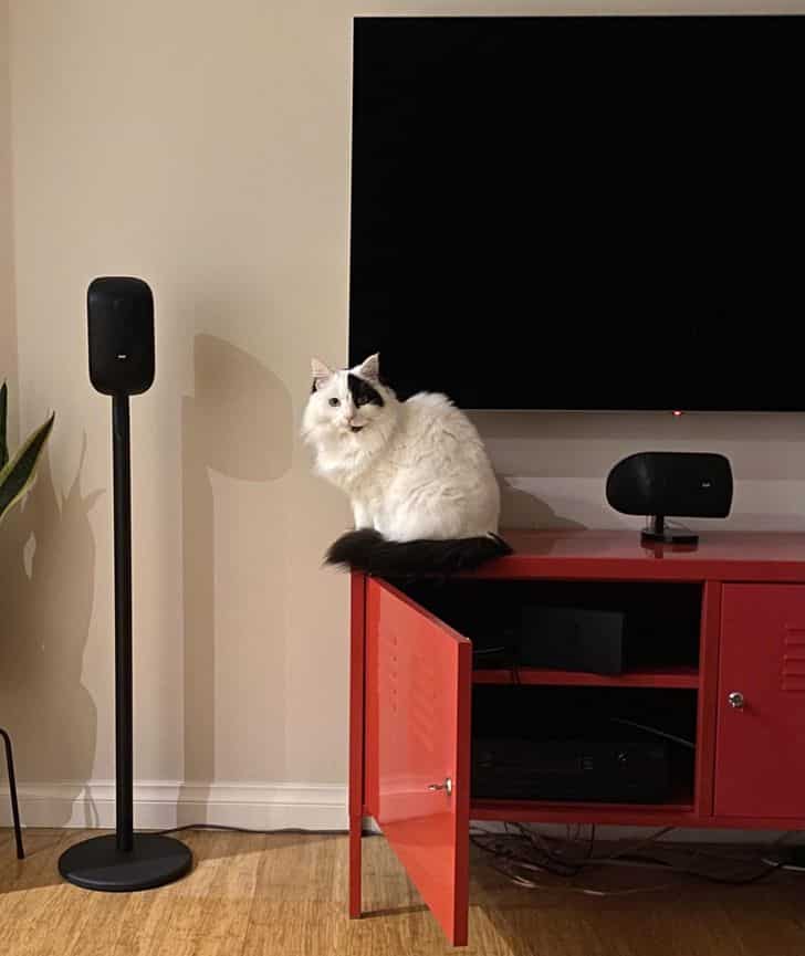 A macska foltja, ami követi a tv vonalát / Fotó: snakeiscranky / reddit