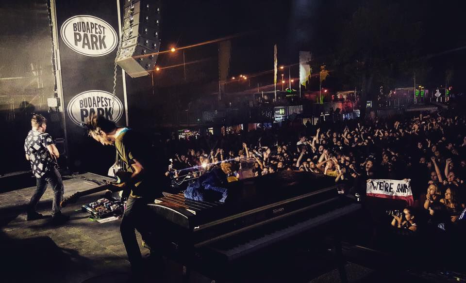 Foals