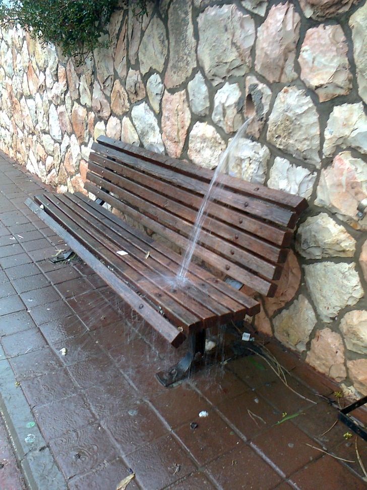 dizajner bakik 7