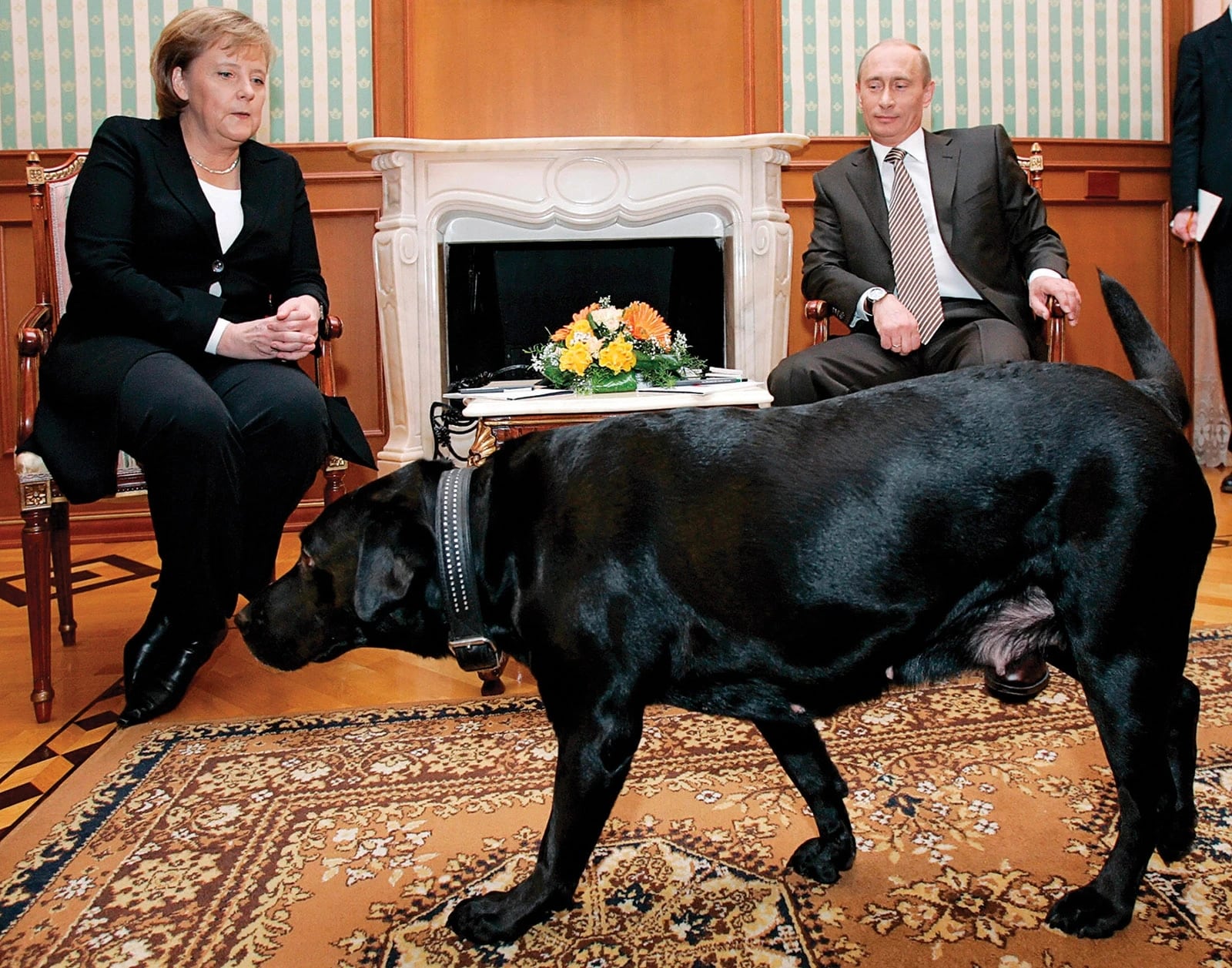 vlagyimir putyin kutyai konni