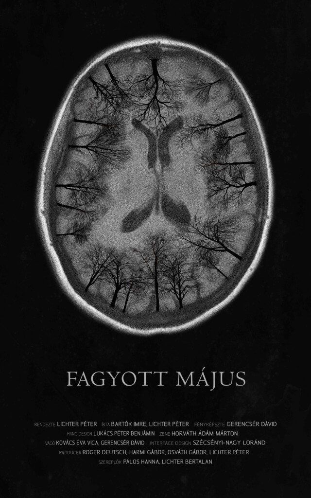 Fagyott m%C3%A1jus