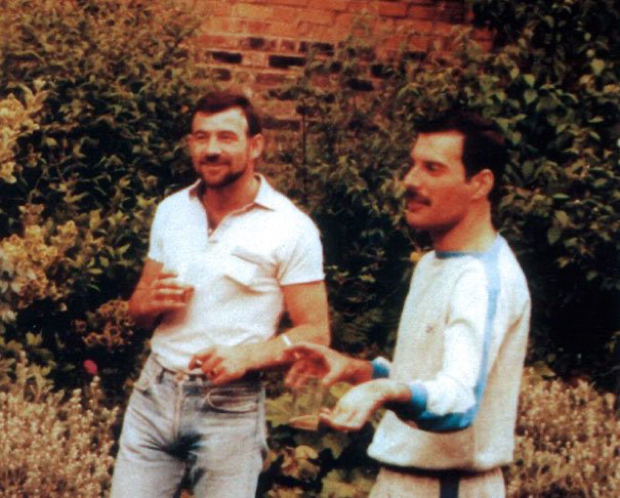 джим хаттон муж фредди. джим хаттон и фредди. друзья меркури. фредди меркьюри и джим хаттон. друзья меркури.