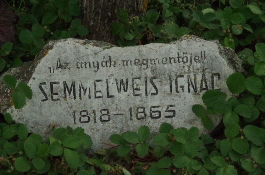 Verseghy Ferenc K%C3%B6nyvt%C3%A1r Semmelweis Ign%C3%A1c eml%C3%A9kk%C5%91 Kis%C3%BAjsz%C3%A1ll%C3%A1s e1530533034509