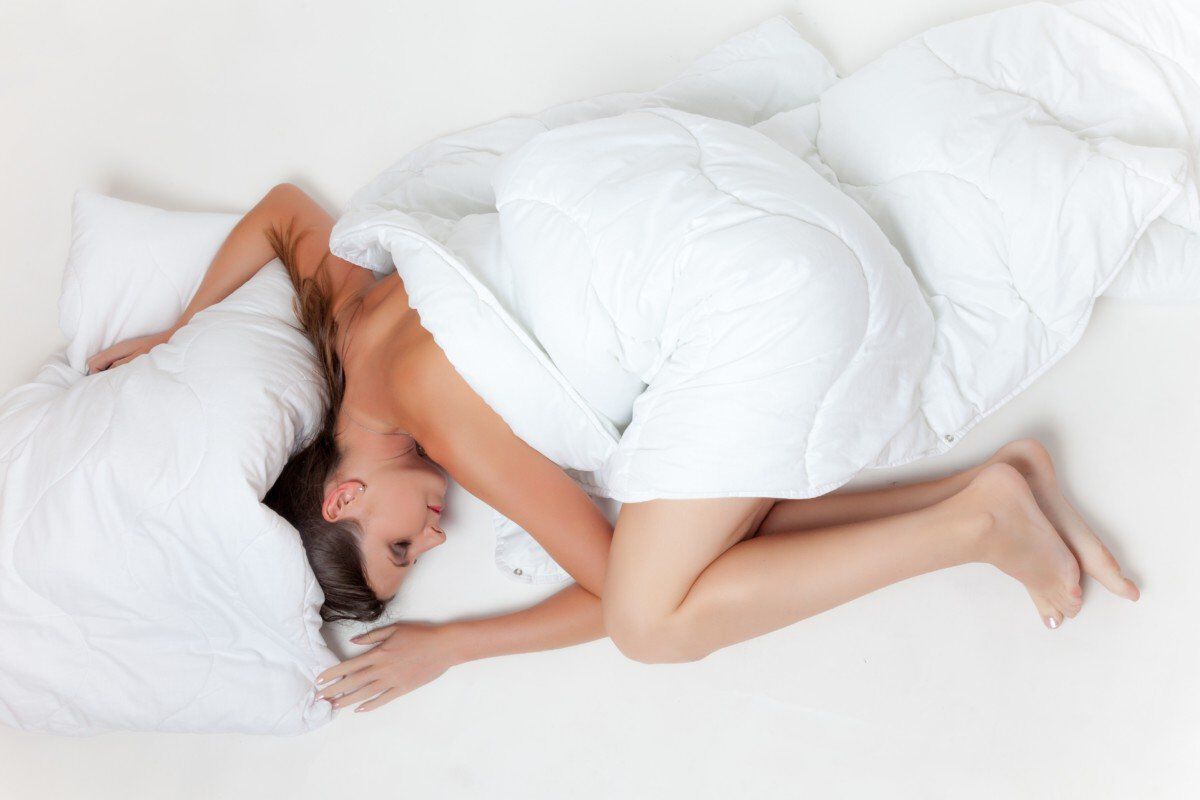 Bed Blanket Comfort 33690