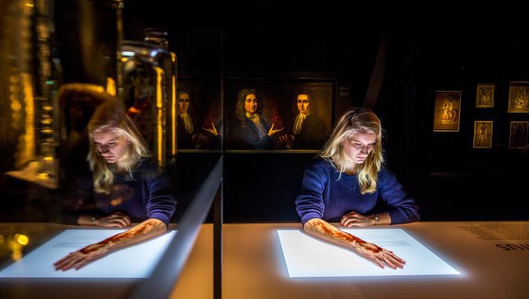 legjobb m%C3%BAzeumok a vil%C3%A1gon Rijksmuseum Boerhaave