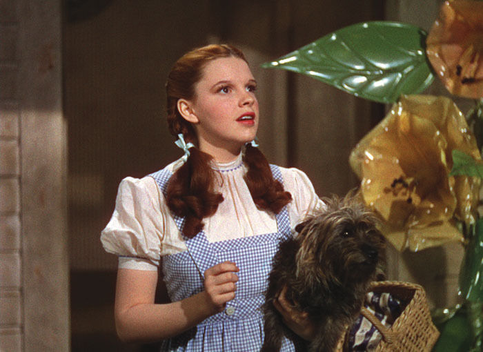 Toto And Dorothy Toto The Wizard Of Oz 11525930 700 510