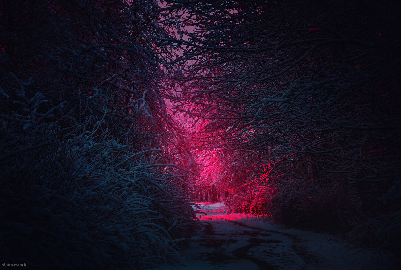 stranger things harmadik %C3%A9vad shutterstock