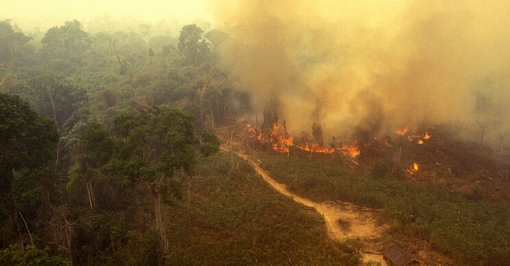 Amazonasi Tűzvész