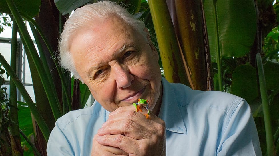 David Attenborough b%C3%A9ka