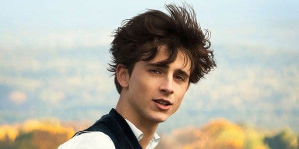 Timoth%C3%A9e Chalamet filmek 2020