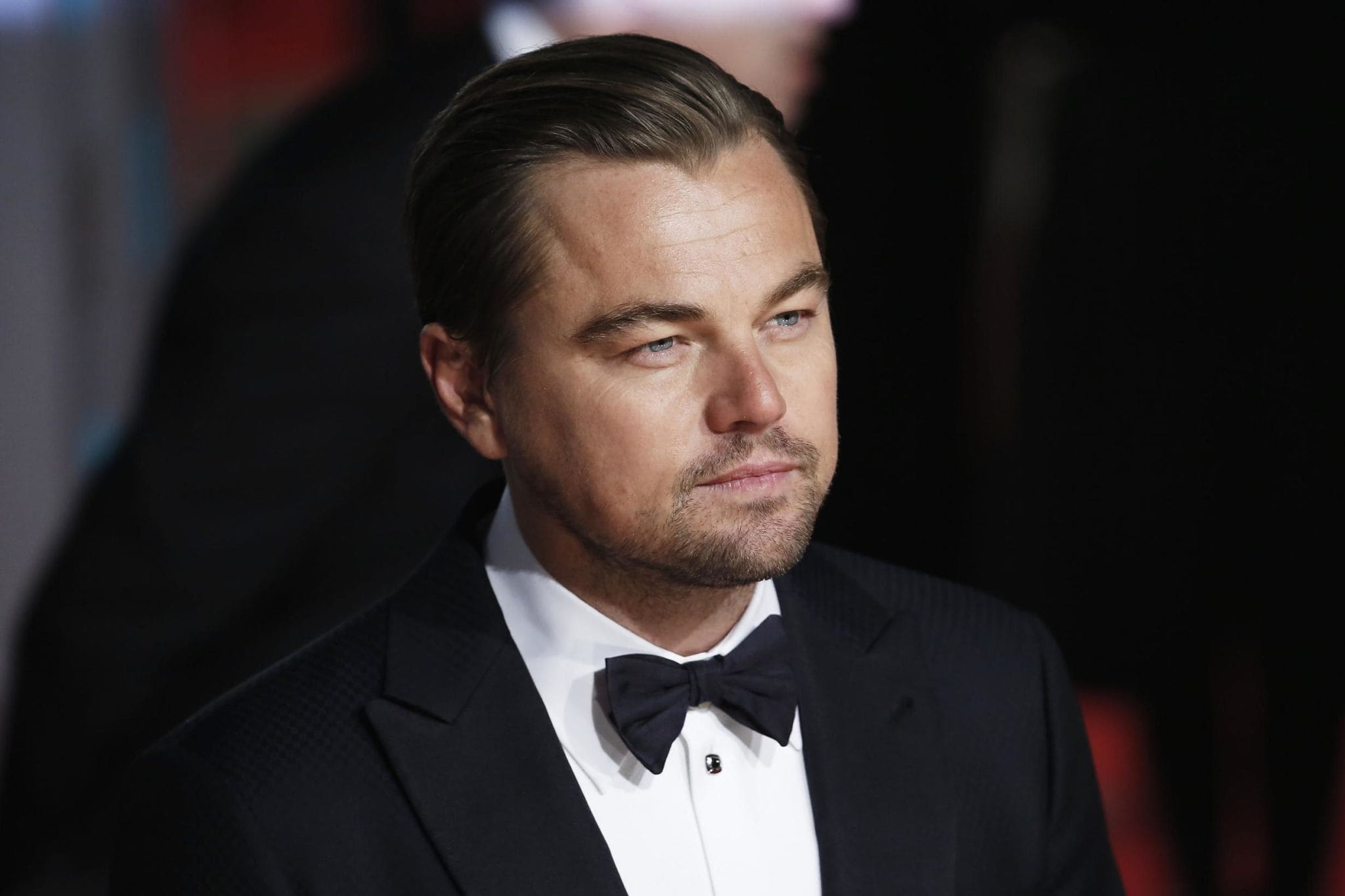 leonardo dicaprio %C3%A9letment%C3%A9s scaled
