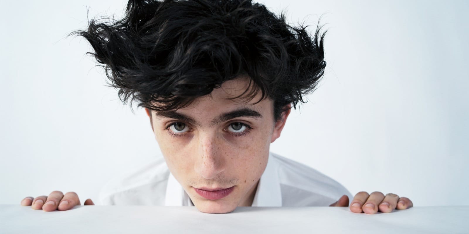 timothe%C3%A9 chalamet