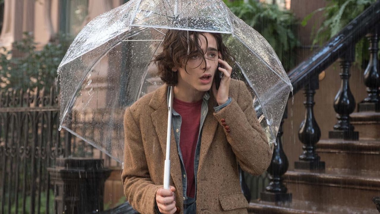 timoth%C3%A9e chalamet esos nap new yorkban