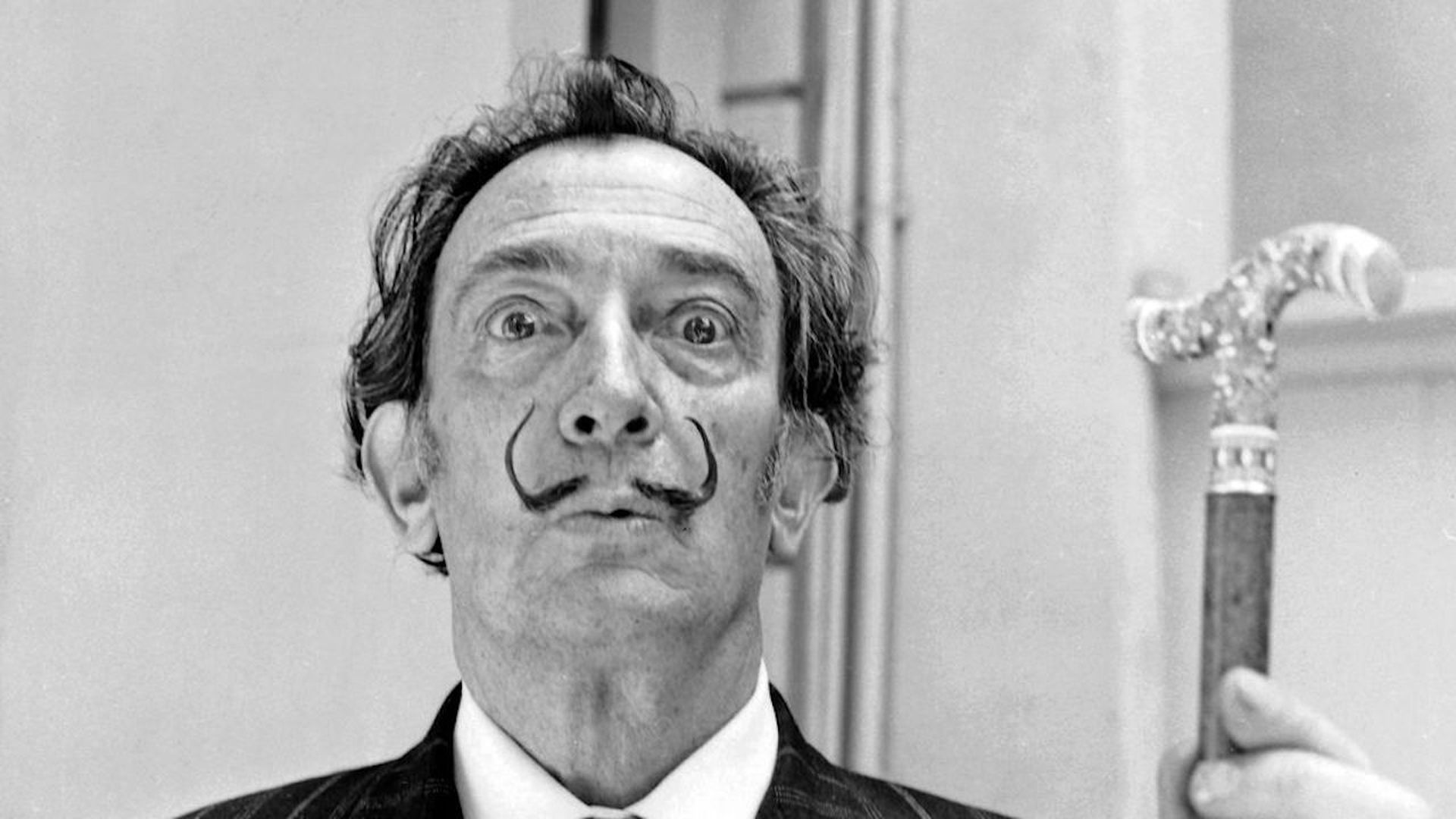 Dalí Paranoia