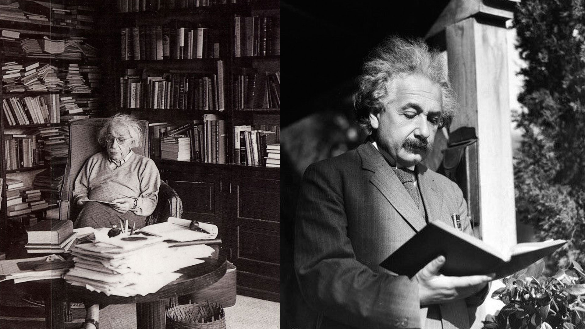Albert Einstein Olvas