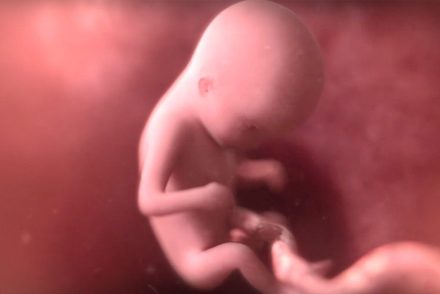 A Twitter letiltotta egy abortuszellenes film felhasználói fiókját