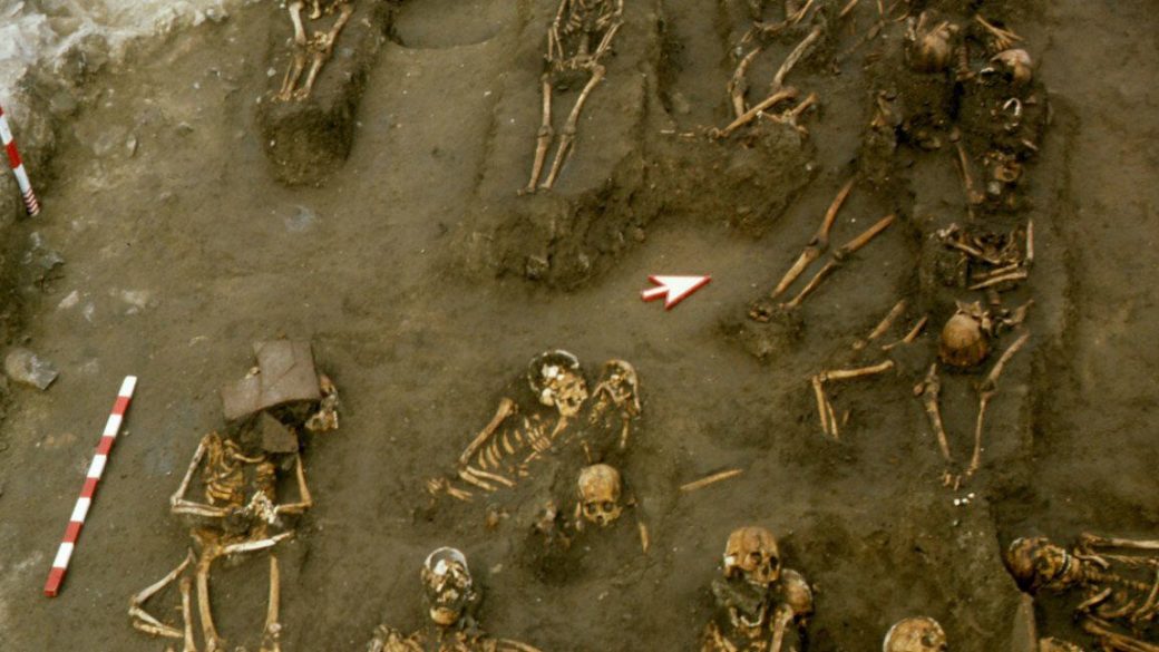 29814220 headerimage graves 11 7 16