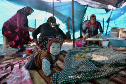 A nap fotója: Így készítik elő sátraikat a nyári költözés előtt a jörükök