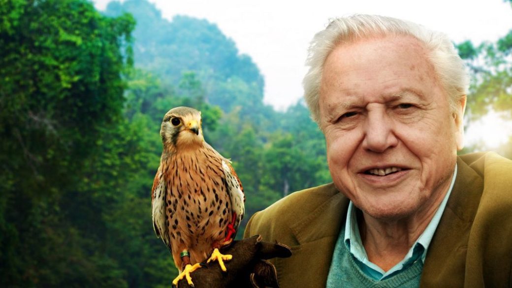 Attenborough60