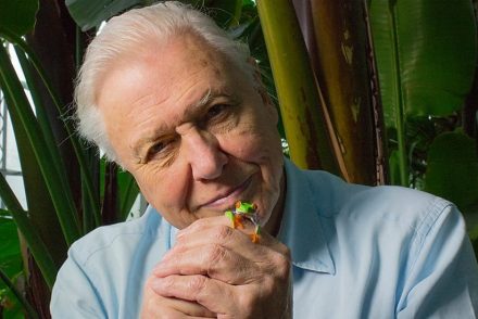 David Attenborough figyelmeztet: „Túlterheltük a Földet”